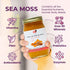 90 (16 oz.) Healthy Herbs Sea Moss Gel (Turmeric) Wildcrafted from Jamaican St Lucia Gold Seamoss | Wild-Harvested