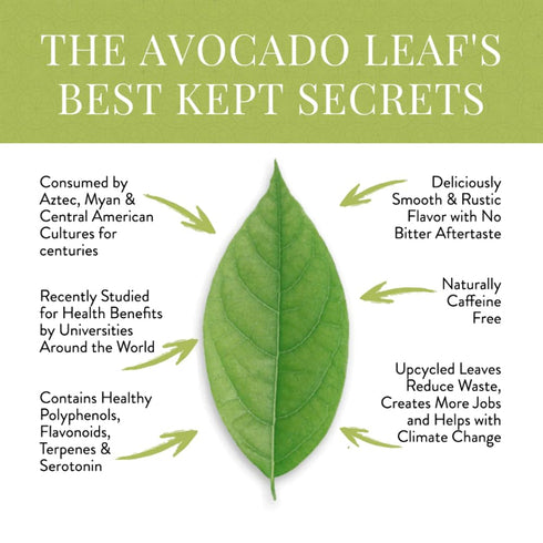 Avocado Leaf/Chamomile Tea – Caffeine-free Herbal Tea | Immune Support | 15 Tea Bags (30 Servings)