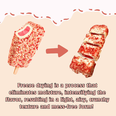 (3.5 OZ G-BOX Freeze Dried Ice Cream| Crunch Strawberry Shortcake Ice Cream Bites - Perfect for Camping, Outdoor