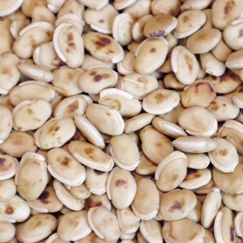 Visit the Store (0.5 lb) Royal Seafood USA Dried Fried White Hyacinth Bean White lablab bean Bai bian dou Chinese Bean