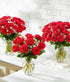 Dozen Stemmed From You Flowers - One Long Red Roses with Glass Vase | Fresh Flower Bouquets for Mother's Day, Birthday