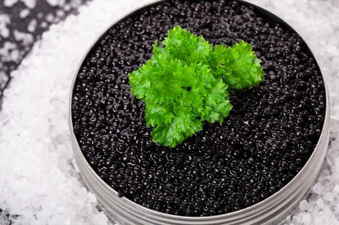 (1 (28 Bowfin Caviar - Choupique Roe - Wild American ounce grams))