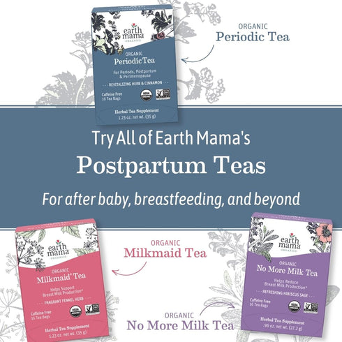 Earth Mama 16 (2-Pack) Organic Ginger Nausea Tea | Comforts Occasional Nausea + Morning Sickness, Teabags Per Box
