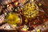 GRIGORIAN GOURMET Immortelle 7 OZ (200g) (Helichrysum Pallasii) Dried Flowers with Stems, Loose Herbal Tea |