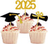 2025 Graduation Cupcake Toppers, 48 PCS Food/Appetizer Picks, Grad Cap Set, Diploma, Mini Cake Decorations