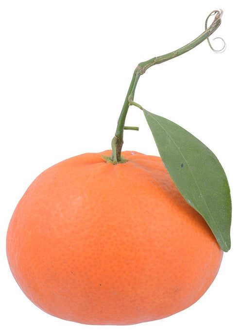 Fresh Produce PRODUCE Stem & Leaf Mandarins