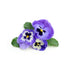 Biokoma Pure Heartsease Wild Pansy Dried Herb 50g - Healthy Skin Support, Herbal Tea