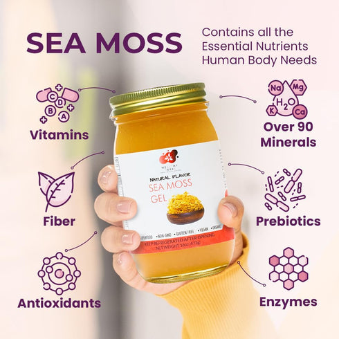 90 (16 oz.) Healthy Herbs Sea Moss Gel (Natural) Wildcrafted from Jamaican St Lucia Gold Seamoss | Wild-Harvested