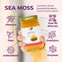 90 (16 oz.) Healthy Herbs Sea Moss Gel (Natural) Wildcrafted from Jamaican St Lucia Gold Seamoss | Wild-Harvested