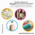 (1 lb) Milk based ice cream and ice pop stabilizer LA TIENDITA ESSENTIALS