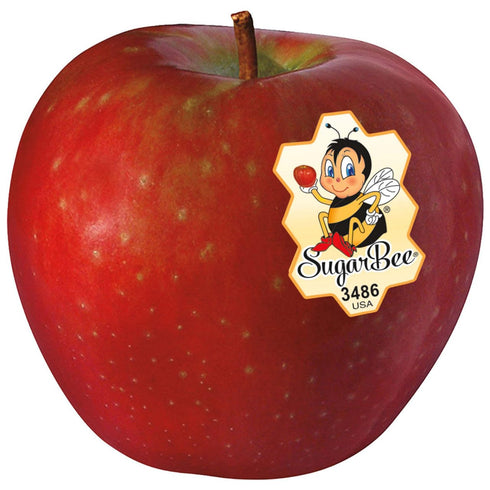 Fresh Produce Sugarbee Apples