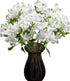 Cassiolina 10 Stems Fresh Alstroemeria Flowers Peruvian Lily Bouquet Mixed Color Stems Long Lasting Fresh Flowers