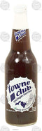 Towne Club soda, mighigan berries, made with pure cane sugar 16 fl oz Glass