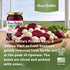 (16 oz, 2-Pack) Aunt Nellies Pickled Beets & Onion | Tangy, Earthy, Sweet and Delicious | Deep Vibrant Ruby Red-Purple