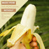 Organic Sun Dried Whole Bananas - No Sugar Added, Unsulfured, Soft and Chewy Thai Natural Fruit Snacks, 12.6 OZ
