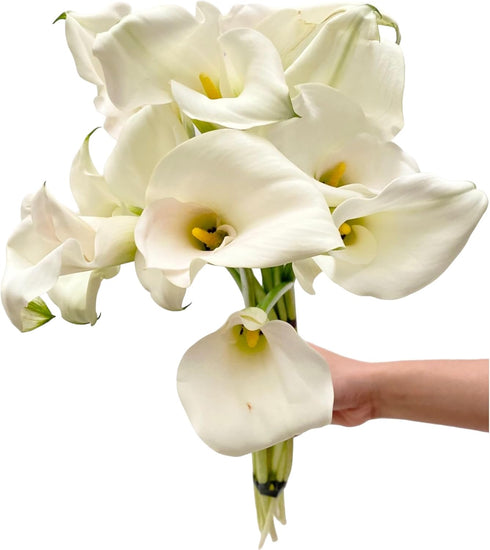 10 White Calla Lilies Fresh Cut Flower Los Angeles Flower Market Birthdays