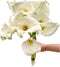 10 White Calla Lilies Fresh Cut Flower Los Angeles Flower Market Birthdays