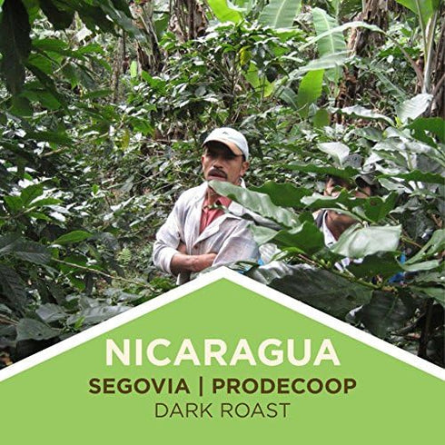 3 Tiny Footprint Coffee - Fair Trade Organic Nicaragua Segovia Dark Roast | Whole Bean Coffee | USDA Organic | Fair