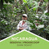 3 Tiny Footprint Coffee - Fair Trade Organic Nicaragua Segovia Dark Roast | Whole Bean Coffee | USDA Organic | Fair