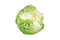 RawJoy Fresh Organic Green Cabbage by Farms, Pack of 3