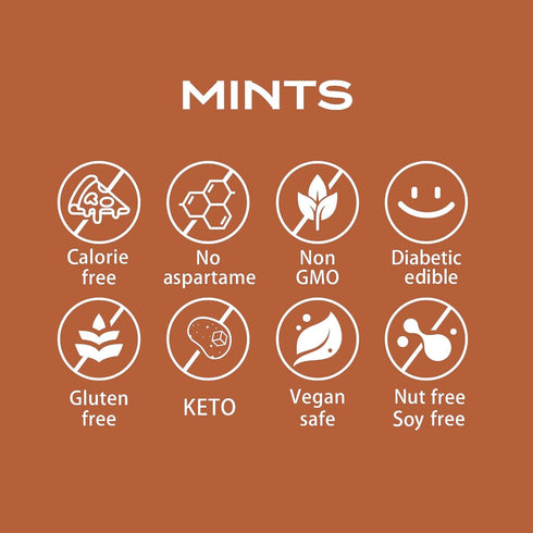 DC24 100% 0-Calorie,Sugar 30 Count, Pack 4 DAILY CARE Erythritol Breath Mints, Free, Natural Cinnamon, Gluten Free