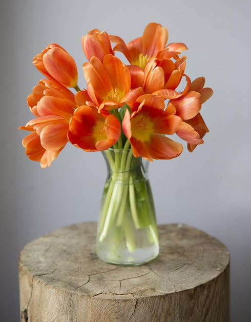 10 KaBloom - Orange Tulips with vase - Fresh Flowers for Birthday, Valentine's & Mother's Day