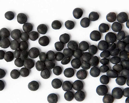 Zursun Heirlooms, Black Beluga Lentil