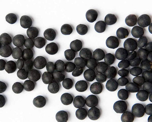 Zursun Heirlooms, Black Beluga Lentil