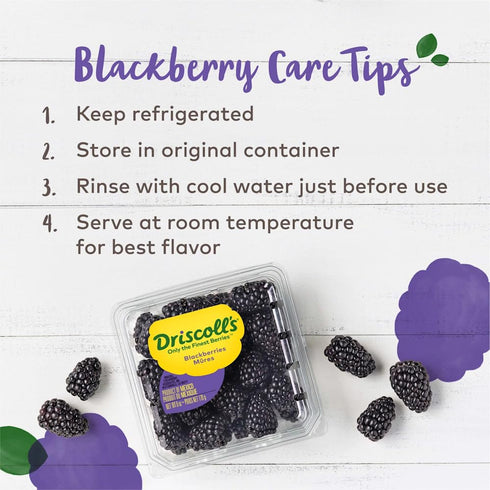 Fresh Produce 10 Oz Driscoll's Sweetest Batch Blackberries
