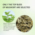 HANFANGLING Mugwort Leaf Herbal Tea - Loose Leaf Natural Mugwort Sprouts, 1.76oz