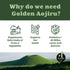 25+ 46pcs Golden Aojiru Green Superfood Powder Japanese Barley Grass Juice with Vegetables, Prebiotic & Enzymes Gluten