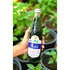 Blue boy 23.7 oz Hale's Brand Cream Soda Flavored Syrup