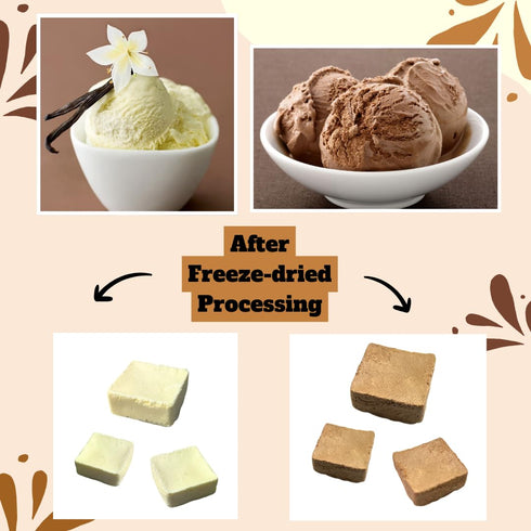 5 oz| (5 OZ, G-BOX Freeze Dried Ice Cream Cubes, Vanilla Flavor, Freeze Dried Camping Food, NASA Space Dessert