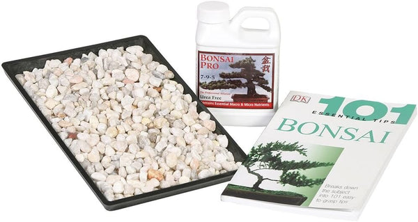Brussel's Bonsai SPCOMBO1 Success Kit, 8", Blank by Brussel's Bonsai