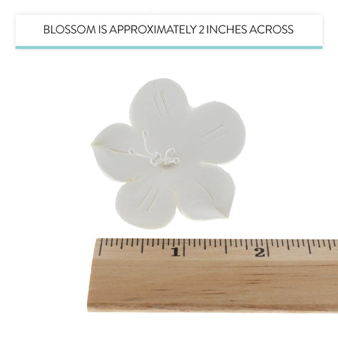 12 Count Global Sugar Art Fruit Blossom Sugar Cake Flowers, White with Wires, by Chef Alan Tetreault