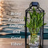 Generic Growing Gift - 7 Lucky Bamboo Plants, 5 stalks 4 inches and