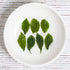 Wild Jiaogulan Tea Leaves, Gynostemma Tea, 3.5oz (100g), 100% Natural, Sugar Free, Non-GMO
