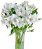 Cassiolina 10 Stems Fresh Alstroemeria Flowers Peruvian Lily Bouquet Mixed Color Stems Long