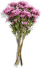Floral (Suppliers May Vary) Floral Pom Mums 7 Stem, 1 Ea