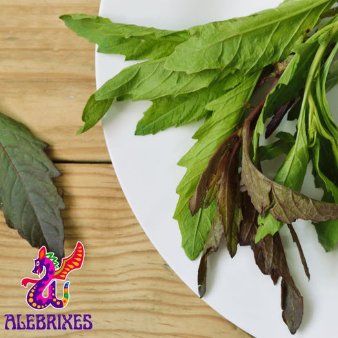 Alebrixes Dried Epazote Leaves 4 oz (113 G) | 100% Natural Hoja de Epazote Aromatica | Resealable Bag Imported from