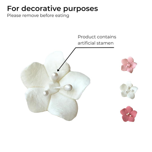 100 Count Global Sugar Art Blossom Sugar Wedding Cake Flowers White with Pearl Stamens, Unwired, by Chef Alan Tetreault