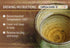 18 Organic Mugwort Tea, Bleach-Free Tea Bags Organic Tea Improves Digestion, and Acts as an Emotional Relaxant, No GMOs