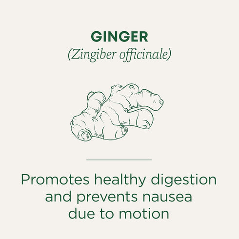 96 (6 Pack) Traditional Medicinals Tea, Organic Ginger, Healthy Digestion, Pleasantly Spicy & Warming, Kosher, Non-GMO