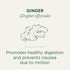 96 (6 Pack) Traditional Medicinals Tea, Organic Ginger, Healthy Digestion, Pleasantly Spicy & Warming, Kosher, Non-GMO