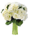 KaBloom - Beauty 6 White Hydrangeas without vase - Fresh Flowers for