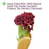Plant Gift 100% 100% 45g/1.58oz Herbal Carnations Flowers Tea,Chinese Flower tea, natural carnation tea health