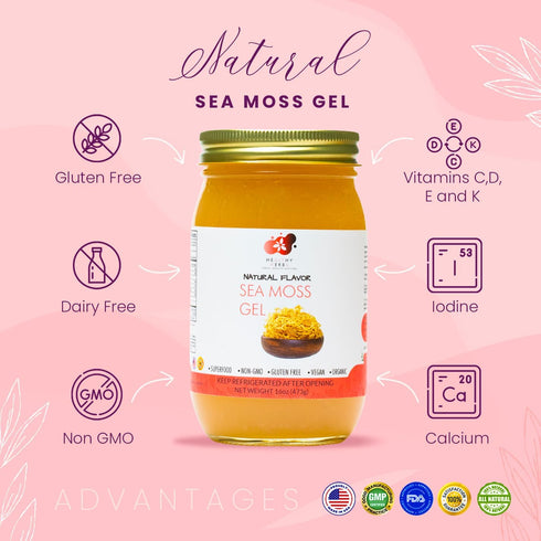 90 (16 oz.) Healthy Herbs Sea Moss Gel (Natural) Wildcrafted from Jamaican St Lucia Gold Seamoss | Wild-Harvested