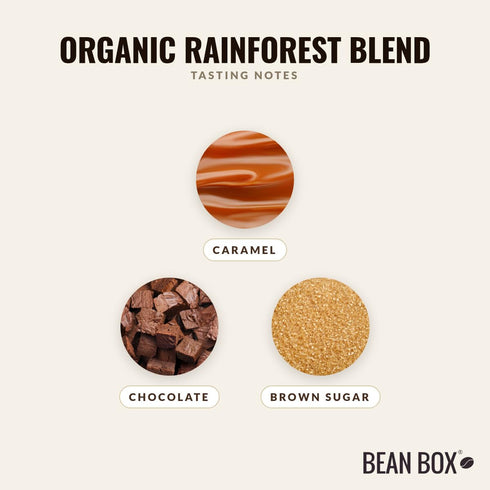 310 Organic Rainforest Blend - Roasted by Klatch Coffee - Whole Bean Coffee - Gram Bag