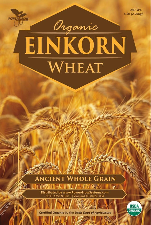 PowerGrow Systems 100% (5 5 Einkorn Wheat Berries - Certified Organic Einkorn Whole Wheat Grain pounds) by (Einkorn