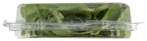 Fresh Produce 0.75 Herb Mint Organic, Ounce